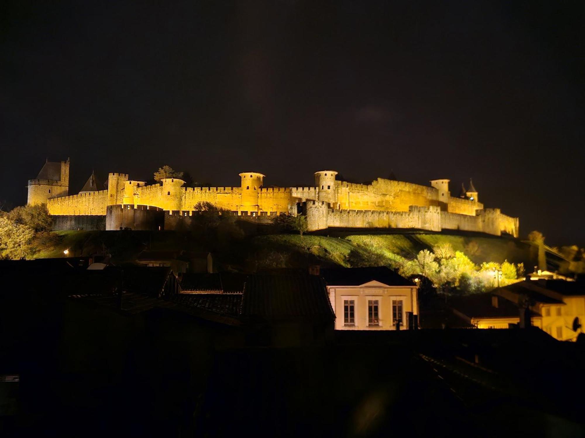 Vue Cite Medievale Castel View Каркассон Экстерьер фото