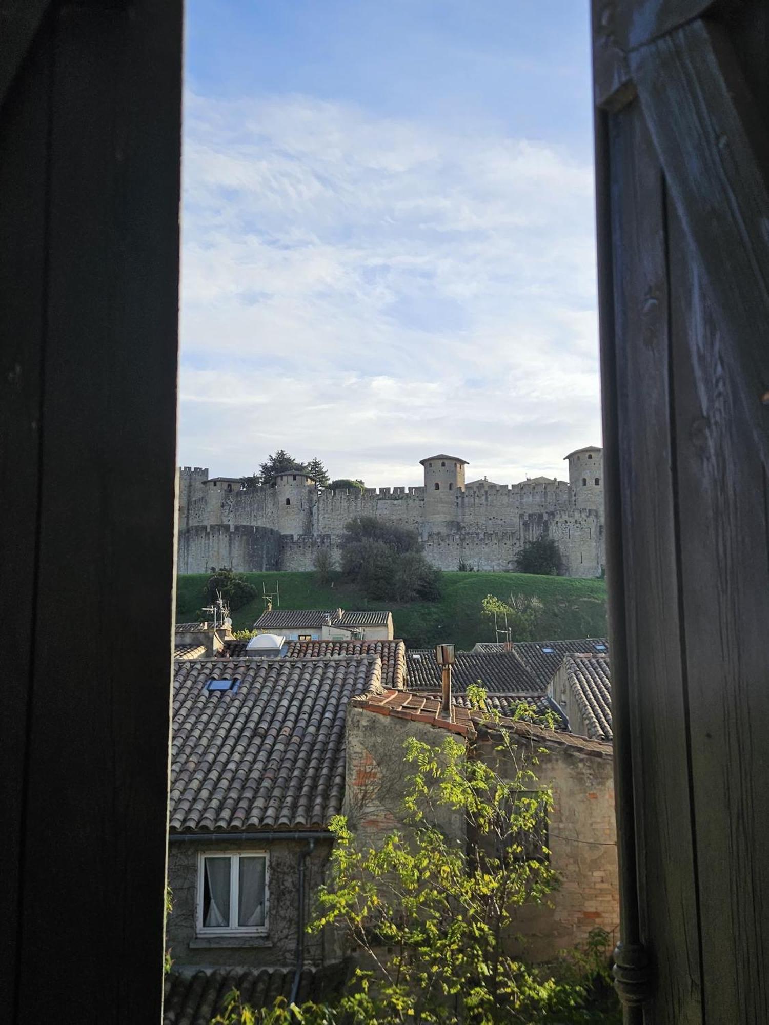 Vue Cite Medievale Castel View Каркассон Экстерьер фото